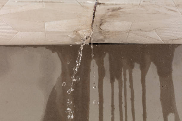 Professional Water Damage Repair technician working in Stockdale, TX